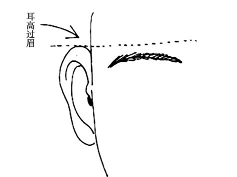 面相耳高於眼